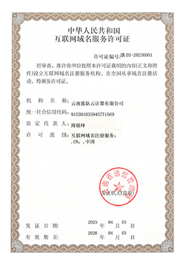 互聯網域名注冊服務的資質與榮譽之路